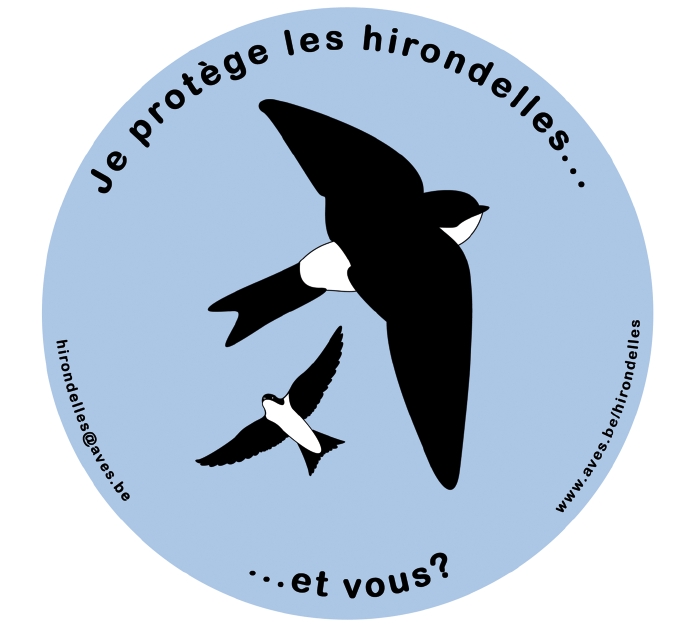 Nichoir Triple Hirondelles De Fenêtre MKW - Haute Qualité - Protection Intempéries